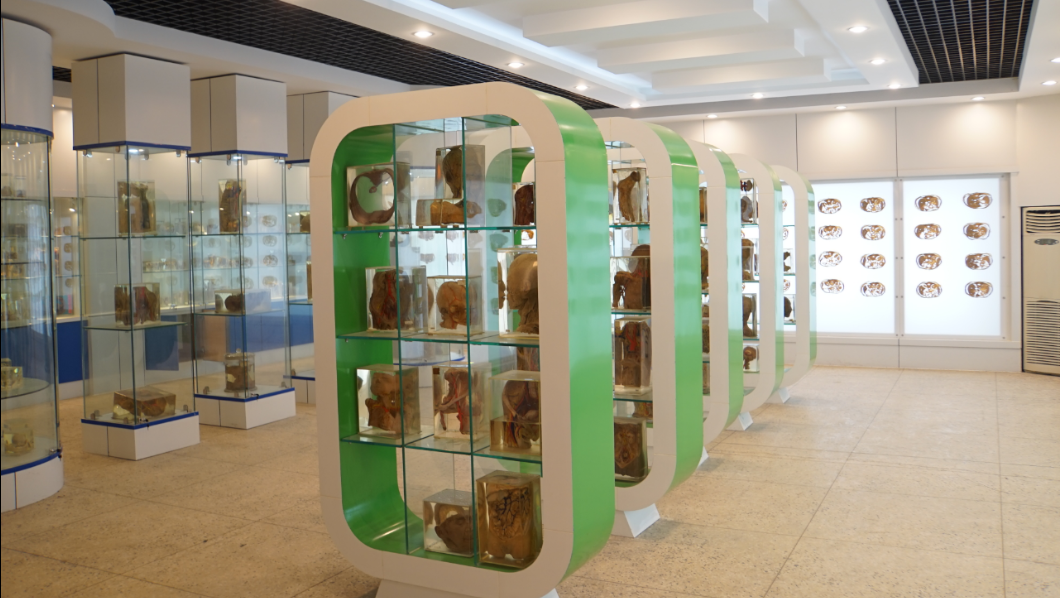 太阳成集团tyc122cc